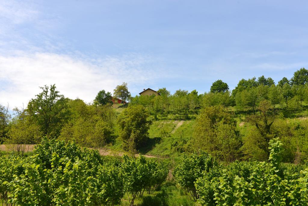 Casa Vacanze Il Brichet Mondovì Rom bilde